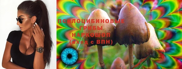 спиды Аркадак