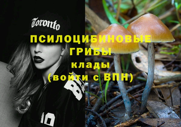 амф Арсеньев