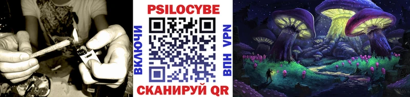 Галлюциногенные грибы Psilocybine cubensis Кашин